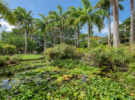 Waterfalls-Pond-2