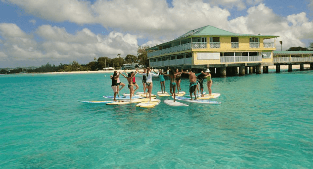 Stand Up Paddleboard New Things To Do in Barbados