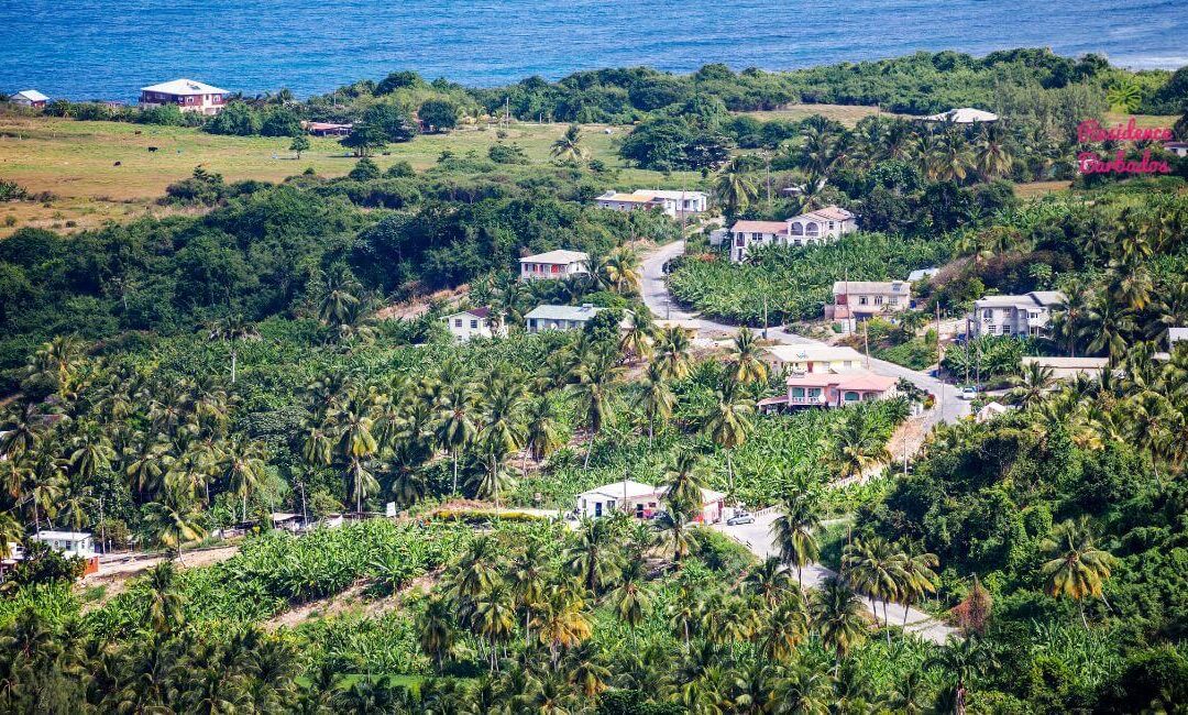 Barbados Road Trip - View of the road to Bathsheba